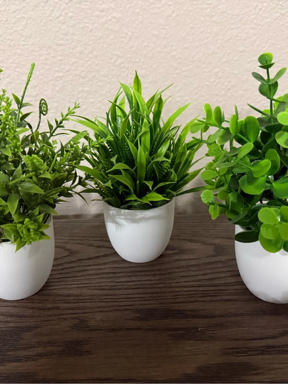 Assorted Green Faux Succulent Set in White and Brown Planters - Home Accents
